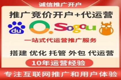 成功企业SEM竞价代运营案例研究